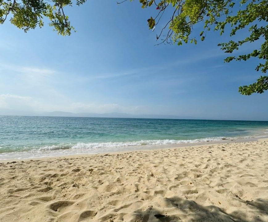 Photo of Others in Moalboal