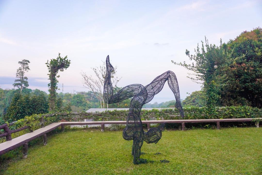 Photo of Others in Toril