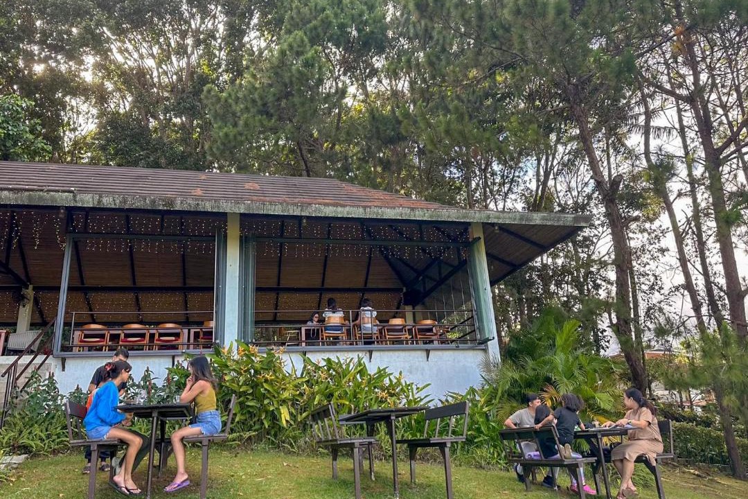Photo of Others in Toril