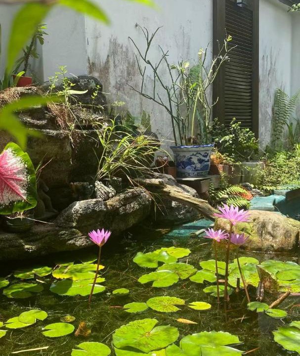 Photo of Others in Taman Pelangi