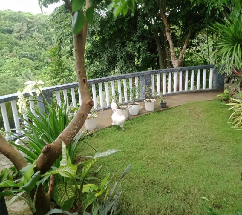 Photo of Others in Malay