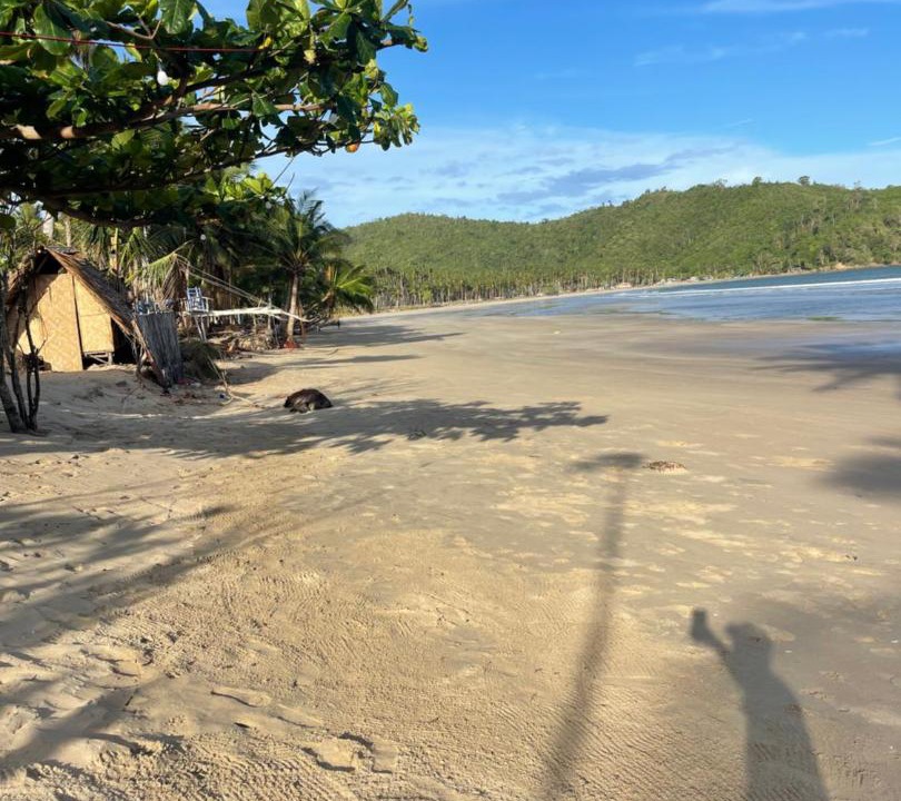 Photo of Others in El Nido