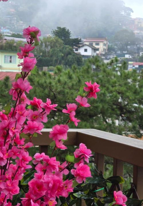 Photo of Others in Baguio