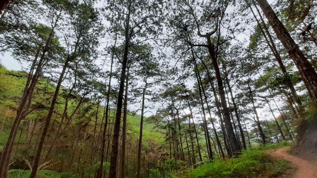 Photo of Others in Luzon
