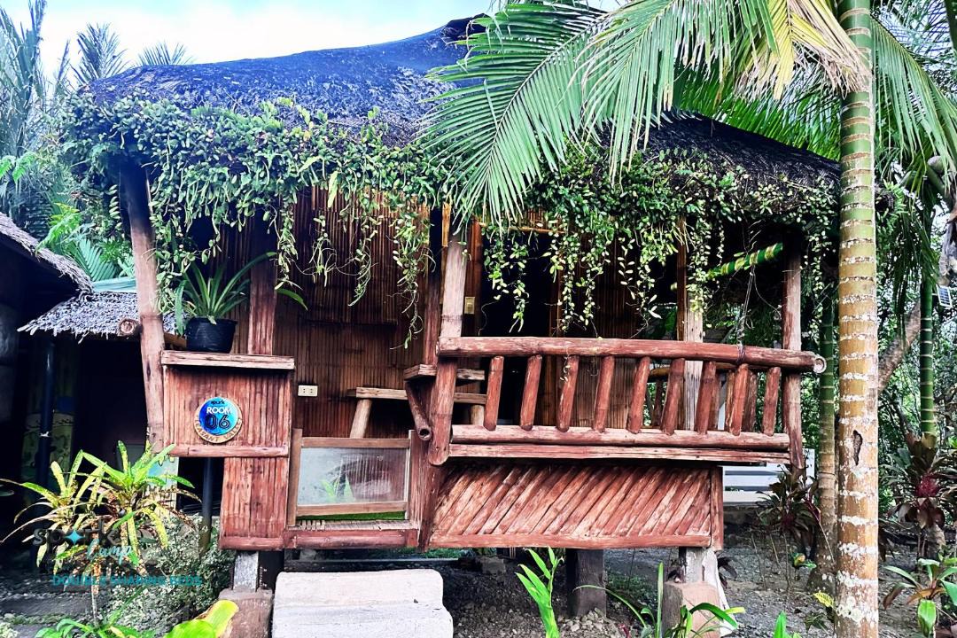 Photo of Others in Baler