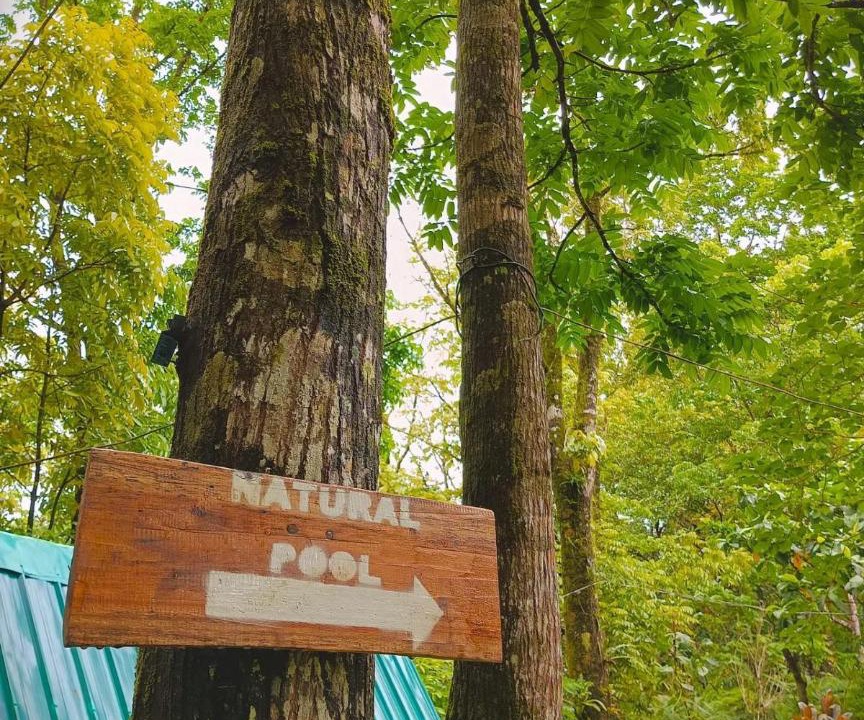 Photo of Outdoor in Real