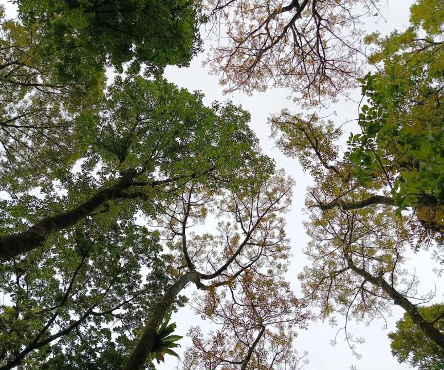 Photo of Others in Real