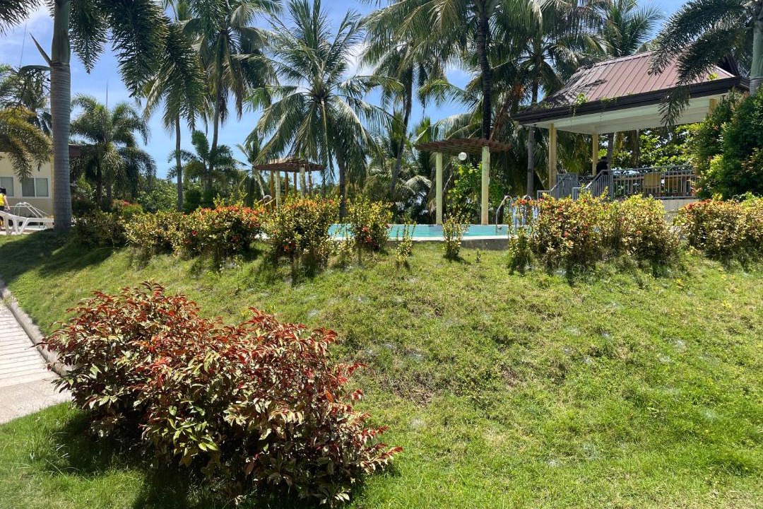 Photo of Others in Pilar