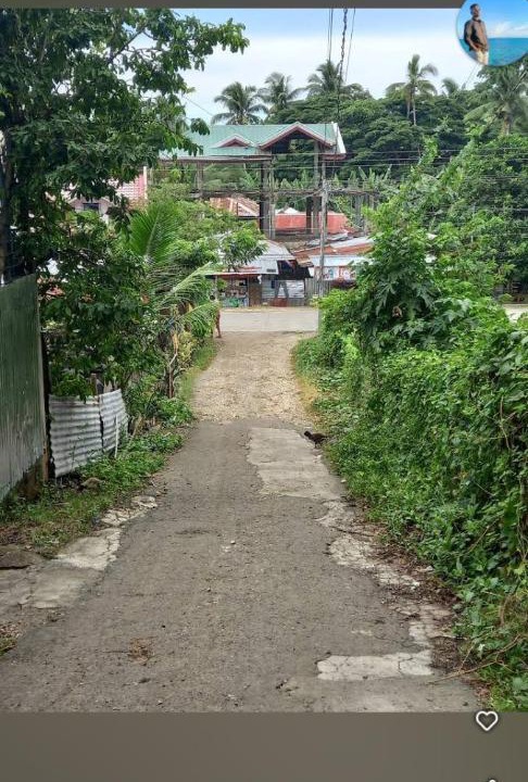 Photo of Outdoor in Baclayon