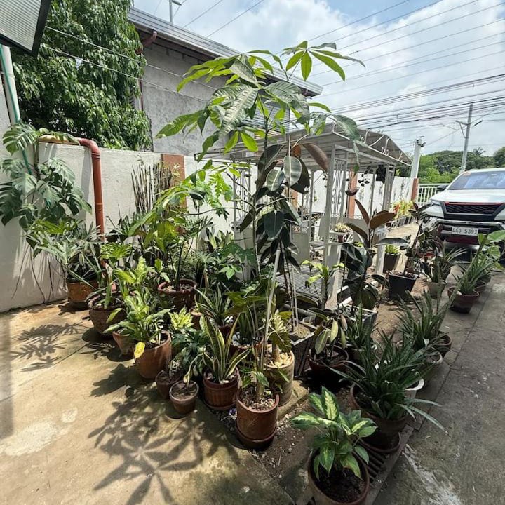 Photo of Others in San Juan