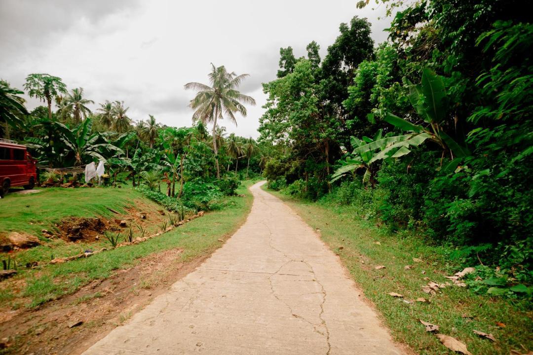 Photo of Others in Loboc