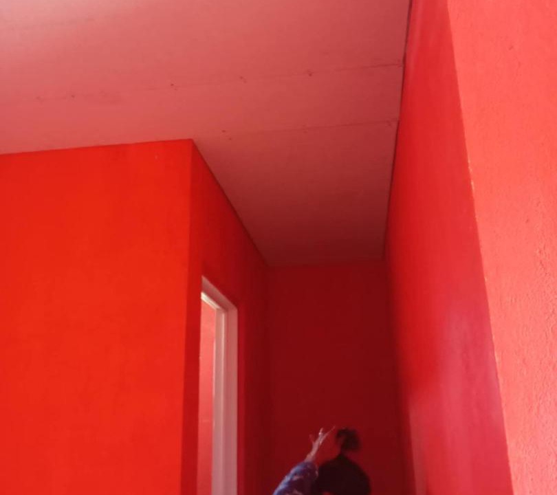 Photo of Others in Magallanes