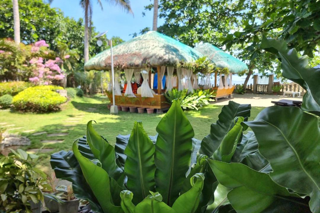 Photo of Others in Quezon