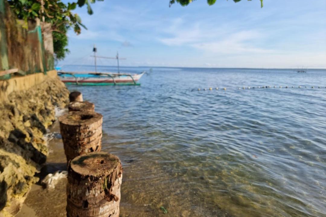 Photo of Others in Quezon