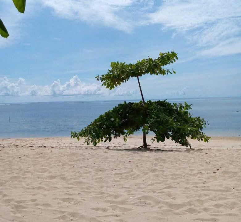 Photo of Others in Alegria