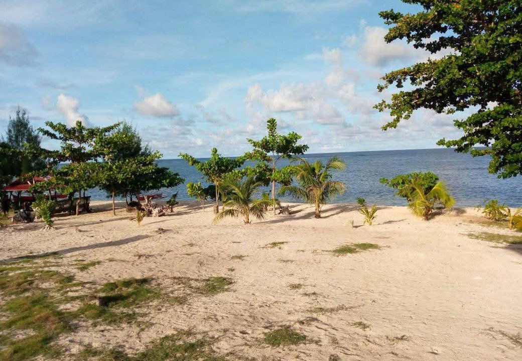 Photo of Others in Alegria