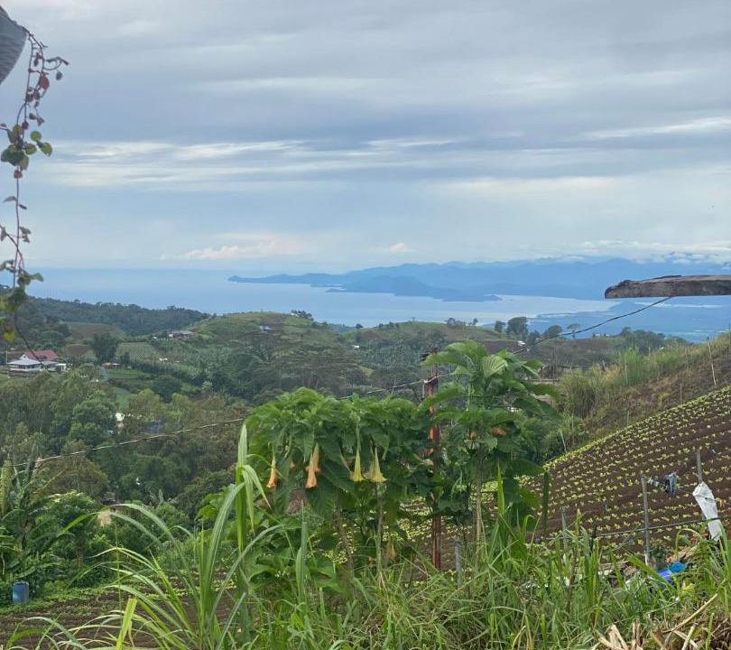 Photo of Others in Bansalan