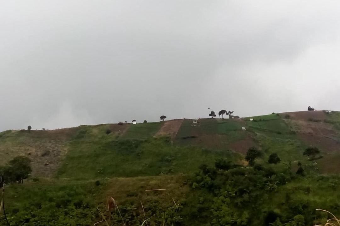 Photo of Others in Bansalan