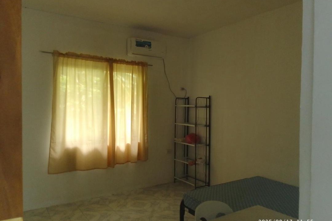 Photo of Others in Dauin