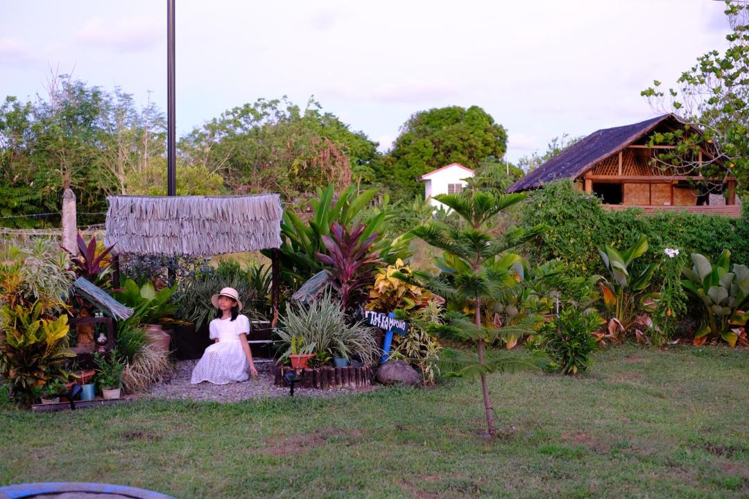 Photo of Others in Talisay
