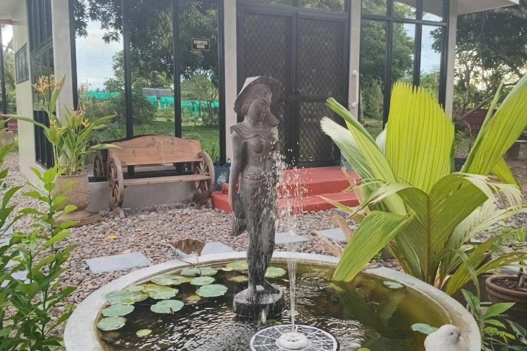 Photo of Others in Talisay