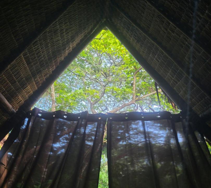 Photo of Others in Coron