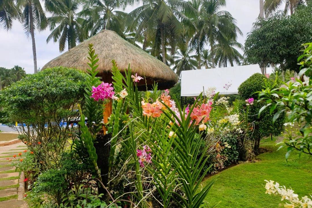 Photo of Others in Maasin City