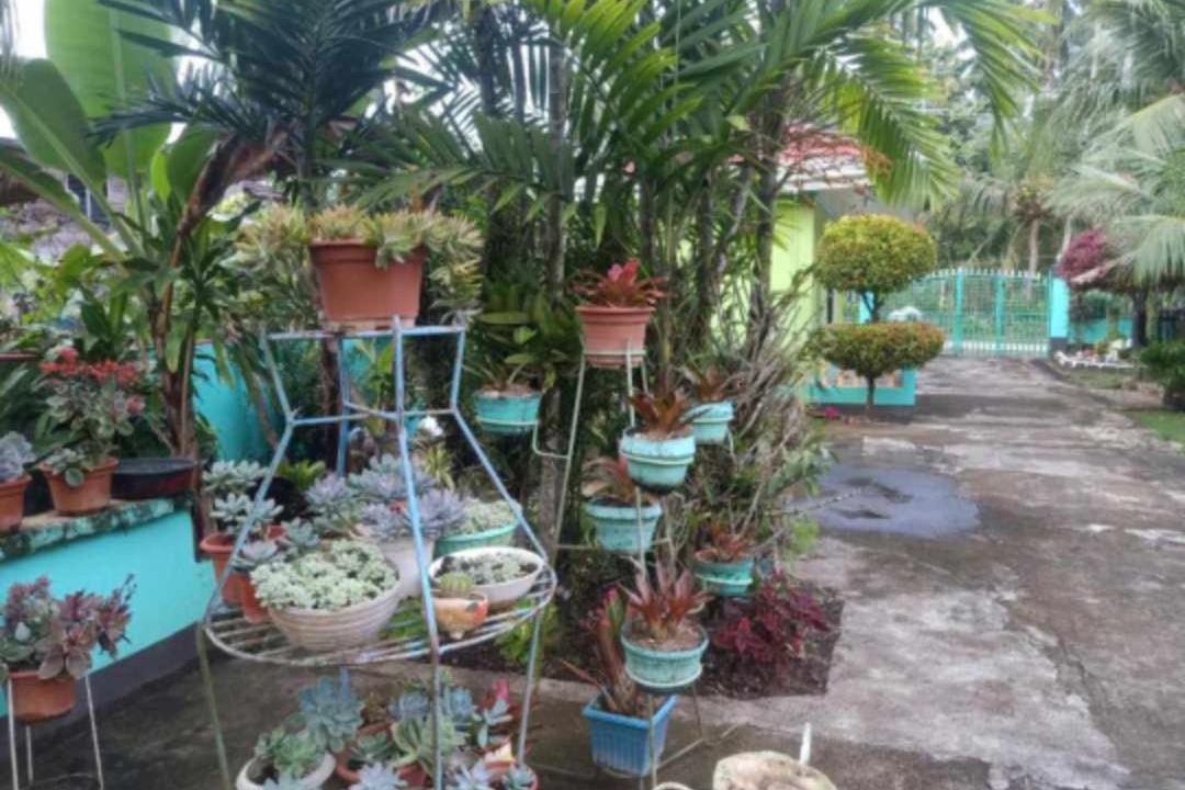 Photo of Others in Anda