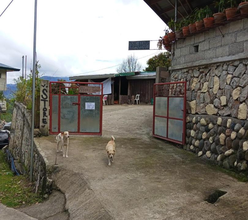 Photo of Others in Bontoc
