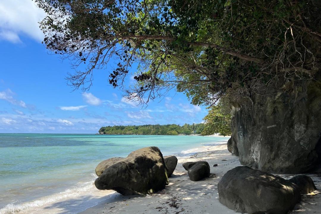 Photo of Others in Looc