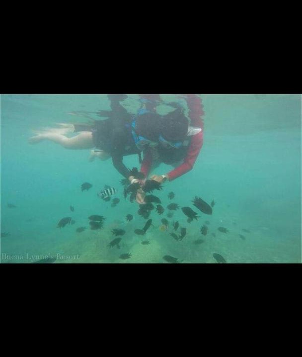 Photo of Others in Puerto Galera