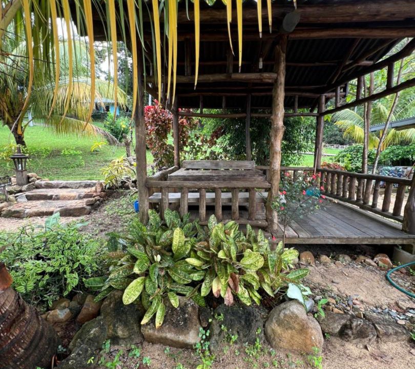 Photo of Others in Tioman Island