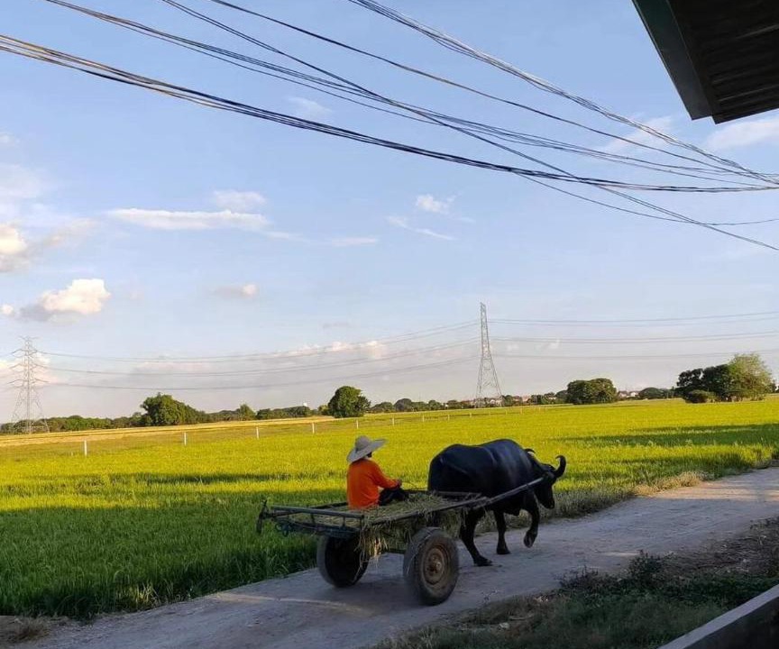 Photo of Others in Pulilan