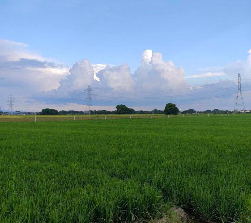 Photo of Others in Pulilan