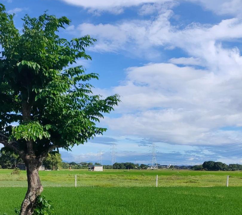 Photo of Others in Pulilan