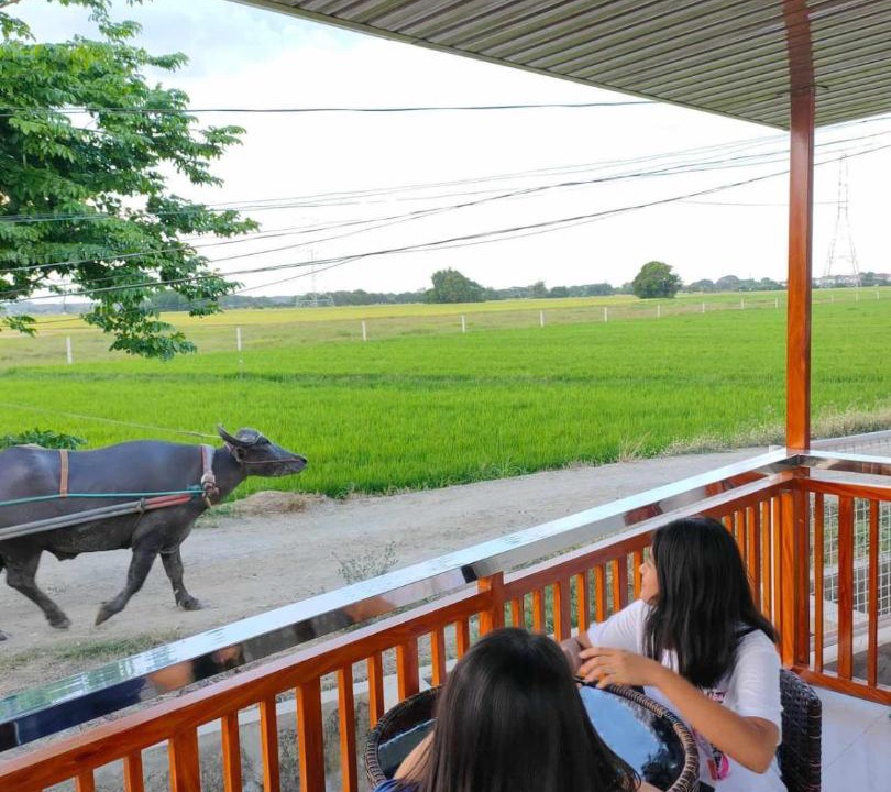 Photo of Others in Pulilan