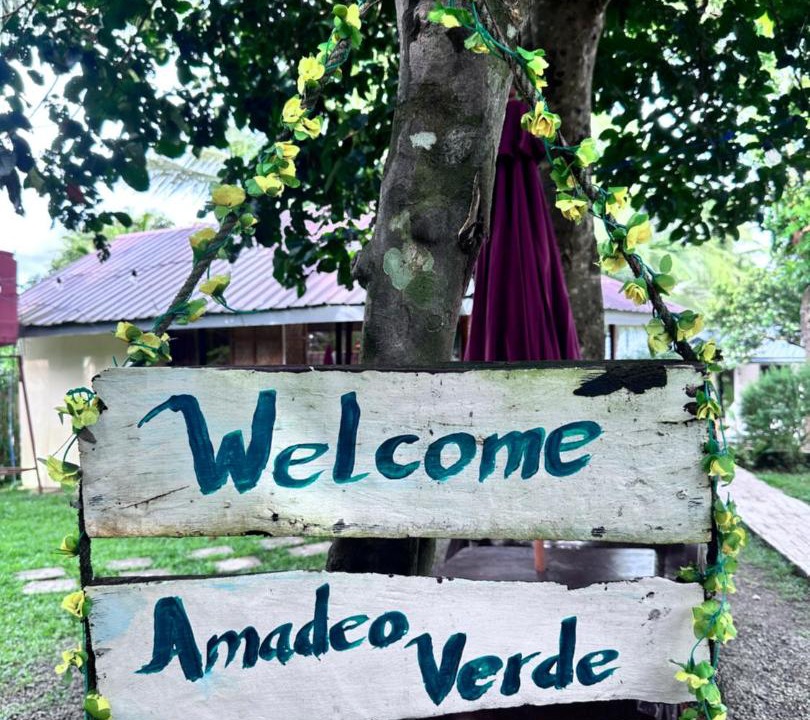 Photo of Outdoor in Amadeo