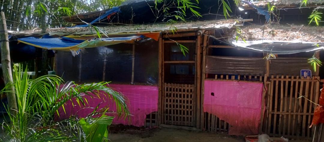 Photo of Others in Dumangas