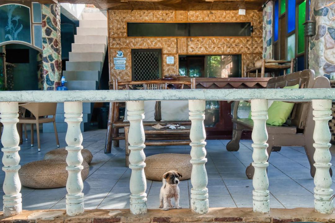 Photo of Others in Daanbantayan