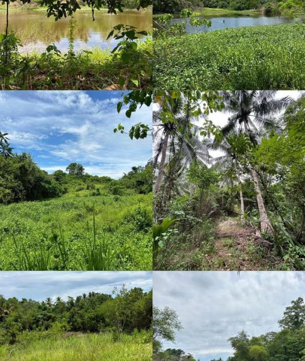 Photo of Others in Allacapan