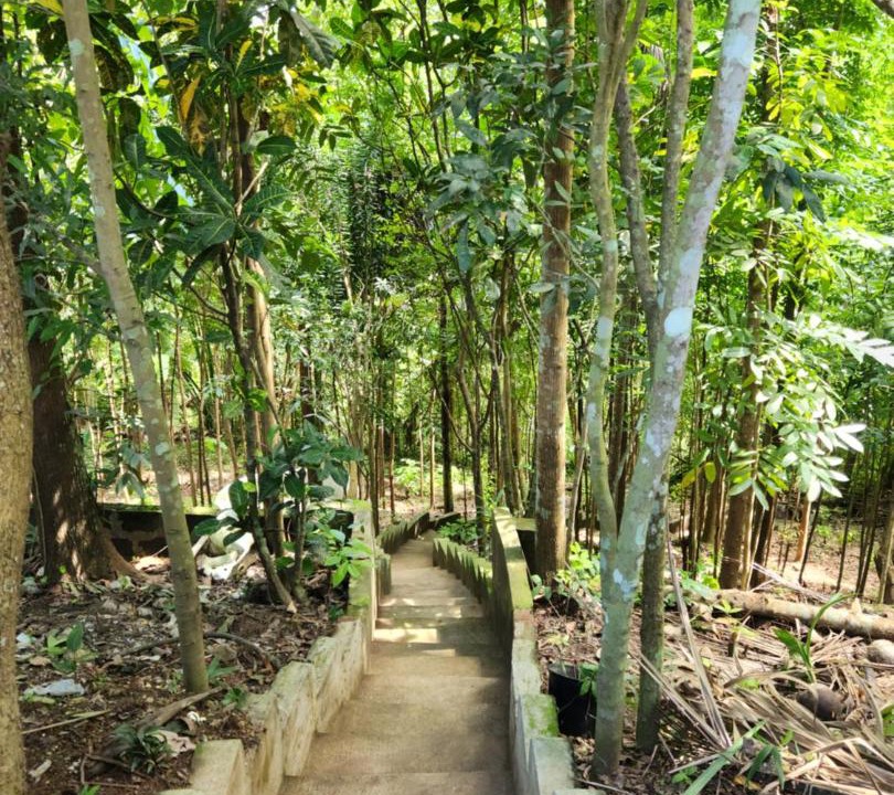 Photo of Others in Silang
