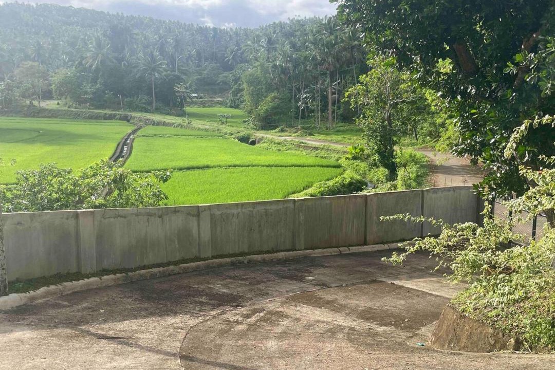 Photo of Others in Daraga