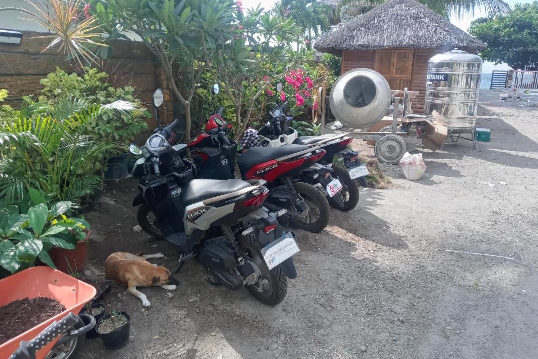 Photo of Others in Zamboanguita