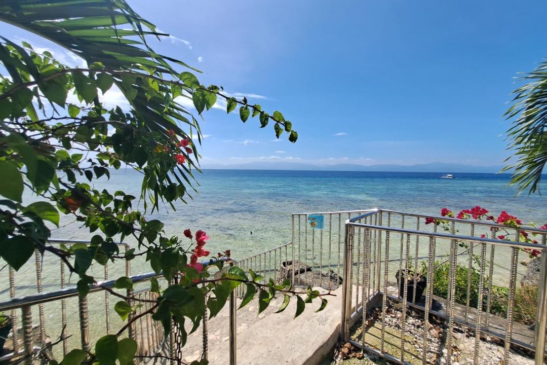 Photo of Others in Moalboal