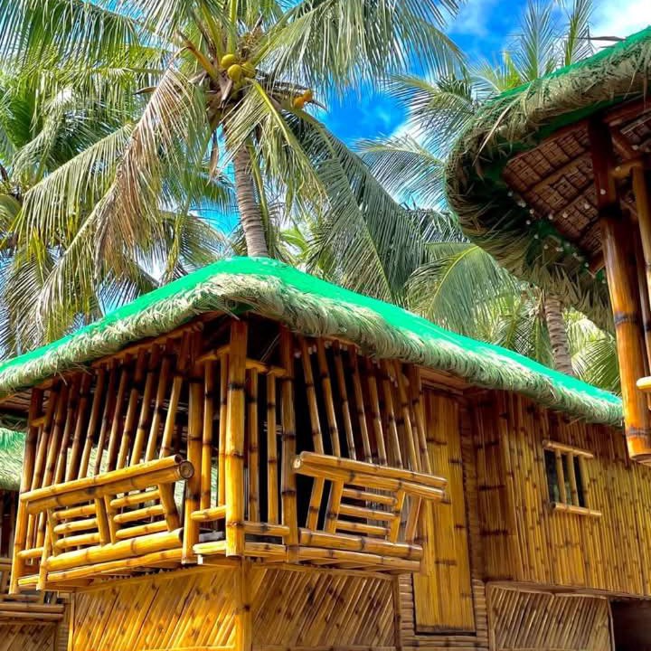 Photo of Others in Anilao