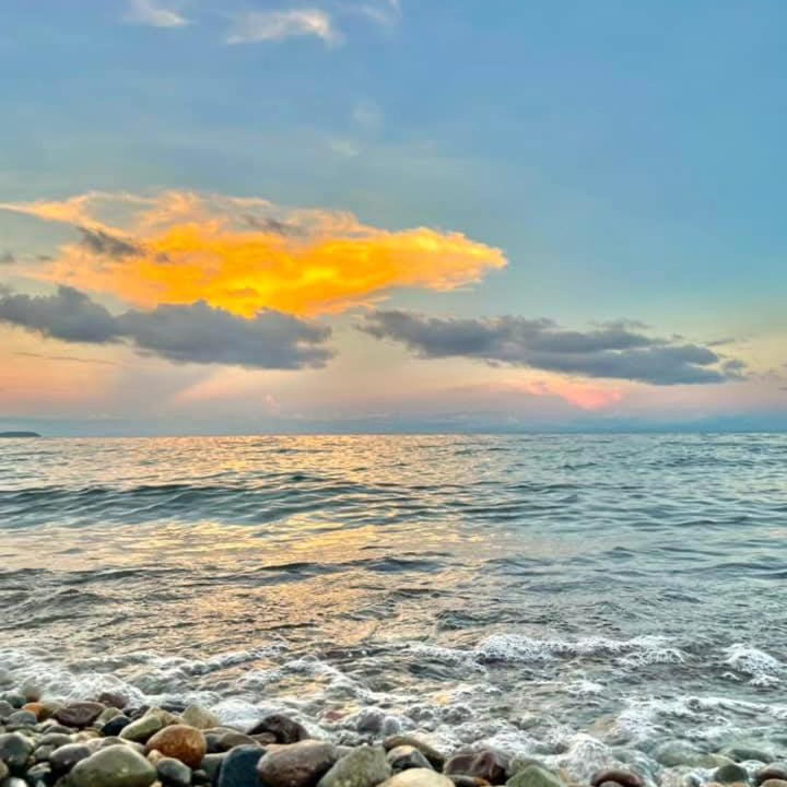 Photo of Others in Anilao