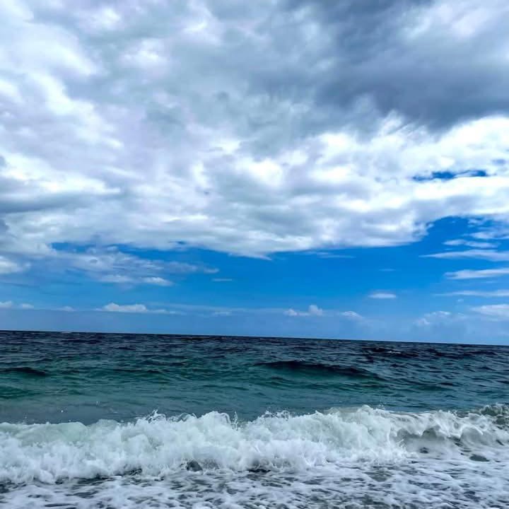 Photo of Others in Anilao