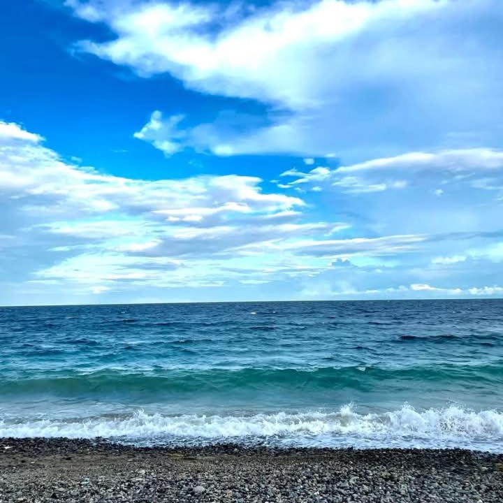 Photo of Others in Anilao