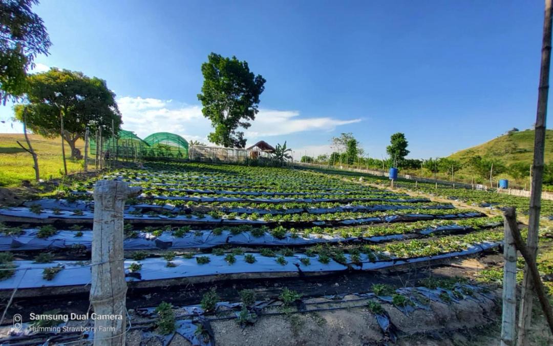 Photo of Outdoor in Pulot