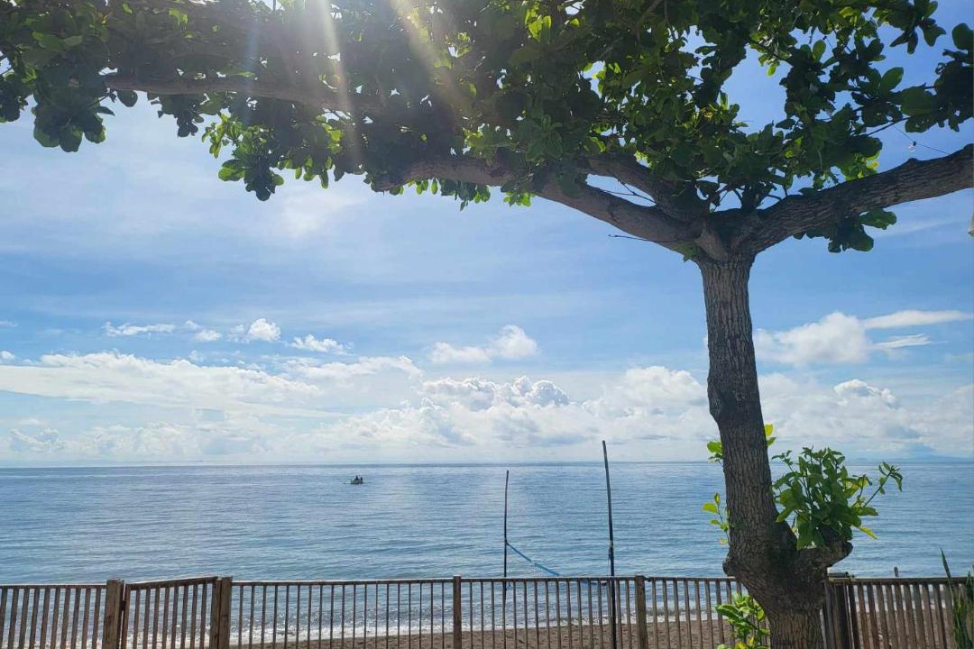 Photo of Others in San Juan